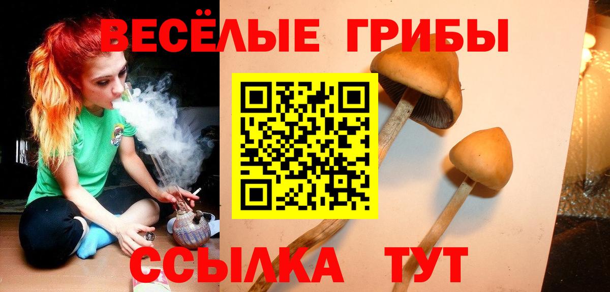 Галлюциногенные грибы Psilocybine cubensis Балашов