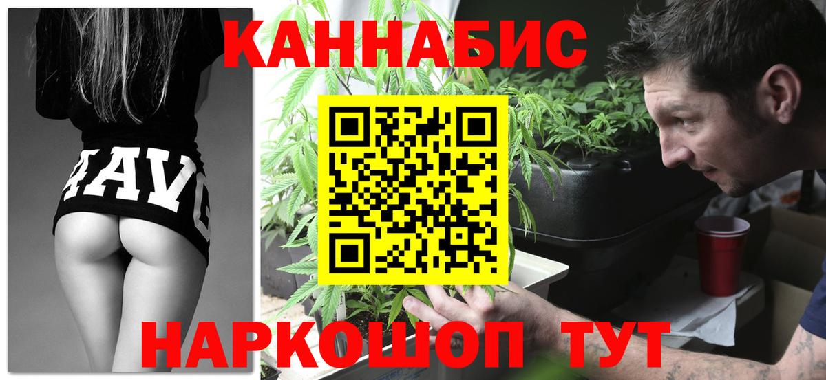 Шишки марихуана THC 21%  Вход с VPN  Балашов  Каннабис OG Kush  Бошки Шишки ГИДРОПОН 